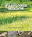 How to Make a Wildflower Meadow: Tried-and-Tested Techniques for New Garden Landscapes by