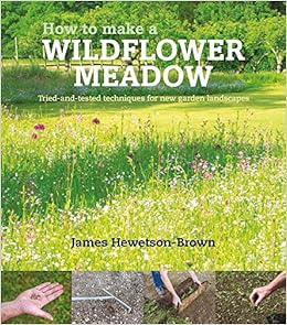 How to Make a Wildflower Meadow: Tried-and-Tested Techniques for New Garden Landscapes How to Make a Wildflower Meadow: Tried-and-Tested Techniques for New Garden Landscapes