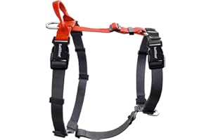 LufeLux Non-Restrictive Dog Harness, Easy Walk Freedom No Pull Harness, Keep Balance, Neck-Buckle, Six Points Adjustment, 2 Leash Clips for Back and Front Clip (Orange/Black, Small)