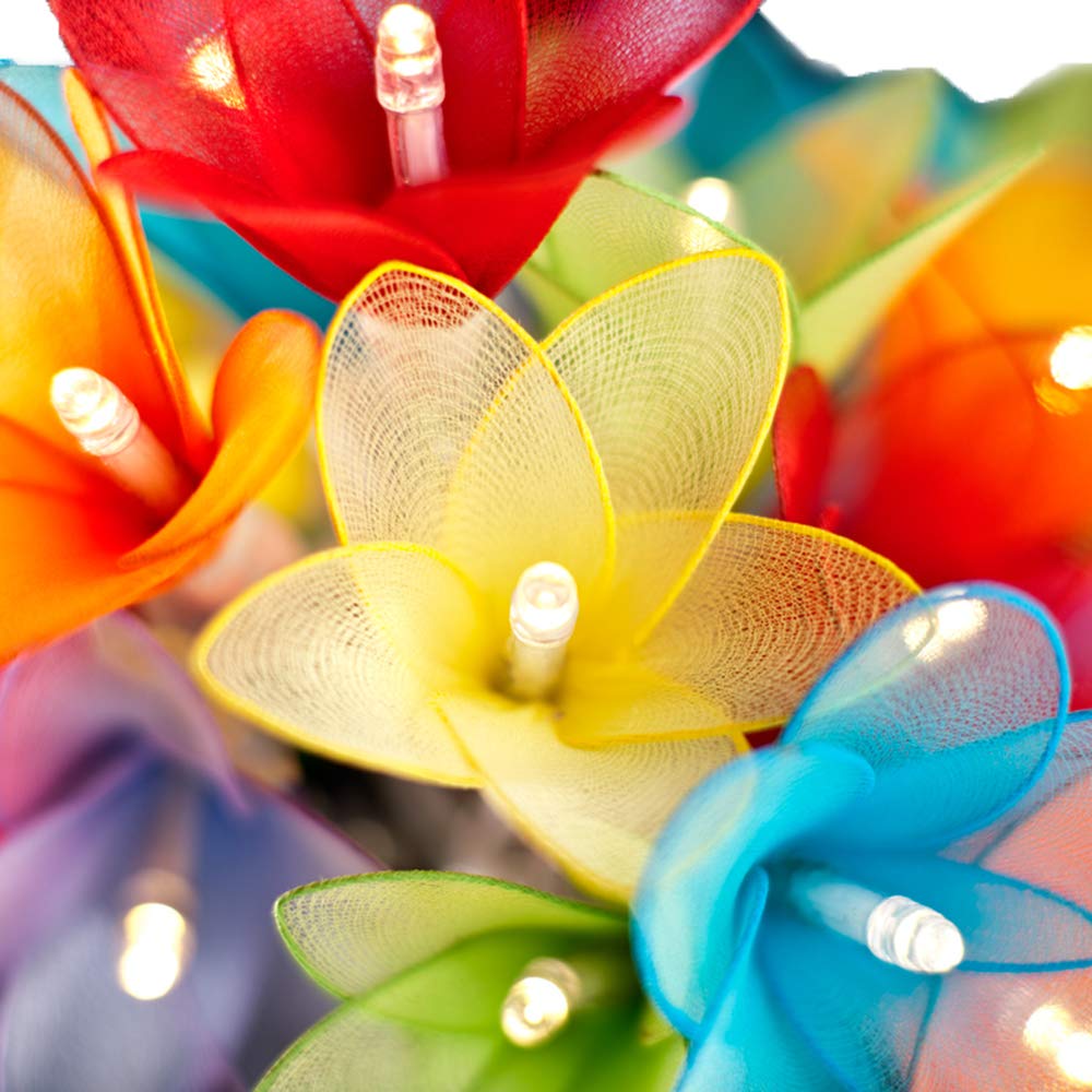 Blaze On Daisy Flower Fairy Lights (Rainbow Colours) – 20 Warm White LED Lights – Handcrafted Sheer Fabric Daisies – USB Powered with UK 3-Pin Adapter – Indoor Decorative String Lights