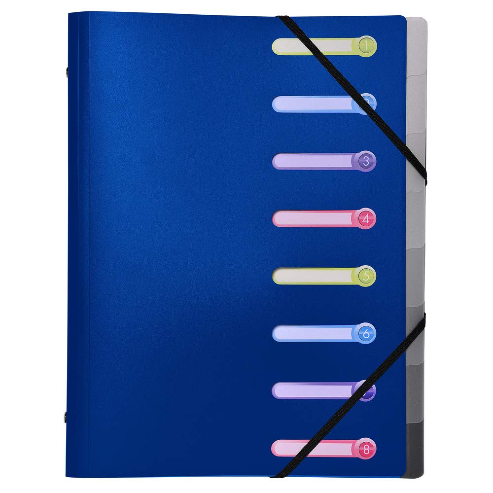 Exacompta PP 500μ Folder, with Elastic Strap, 3 Flaps, Index Window, Opaque, DIN A4, 21 x 29.7 cm, 1 Item 8 compartments assorted colours