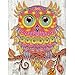DIY 5D Diamond Painting Kit, Cross Stitch Crystal Embroidery Rhinestones Craft 5D Drilled Resin Diamond Painting by Number Kits (Owl)