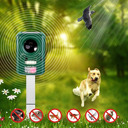 VOLADOR Motion Activated Ultrasonic Animal Repeller Wild Animal Deterrent Scare Away Dog, Cat, Squirrel, Rat, Vole, Raccoon, Fox, Rodent, etc - Thumbnail 3