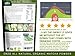 Organic Matcha Green Tea Powder (125g 4.4oz)