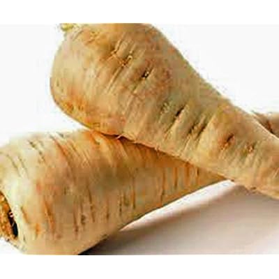 Parsnip, All American, Heirloom, Organic, Non Gmo, 50+ Seeds, Parsnip Seeds