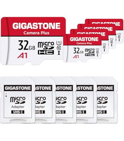 Amazon.com: 【for Switch 1 Only】 GIGASTONE Micro SD Card 128GB 5