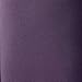 Samsonite Leverage LTE Softside Expandable Luggage with Spinner Wheels, Purple, Carry-On 20-Inch