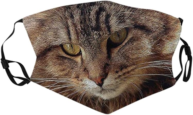 Amazon Co Jp Maszone マスク 面白い プリント 仮面 マスク 動物 ネコ 面白い半顔カバー マスク 洗える 綿 おもしろマスク 大人用 布マスク 半面マスク スポーツ マスク 繰り返し使用可 防塵マスク マスク 通気性 マスク お洒落 男女兼用 ドラッグストア