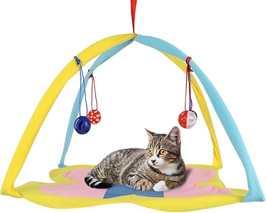 cat play mat
