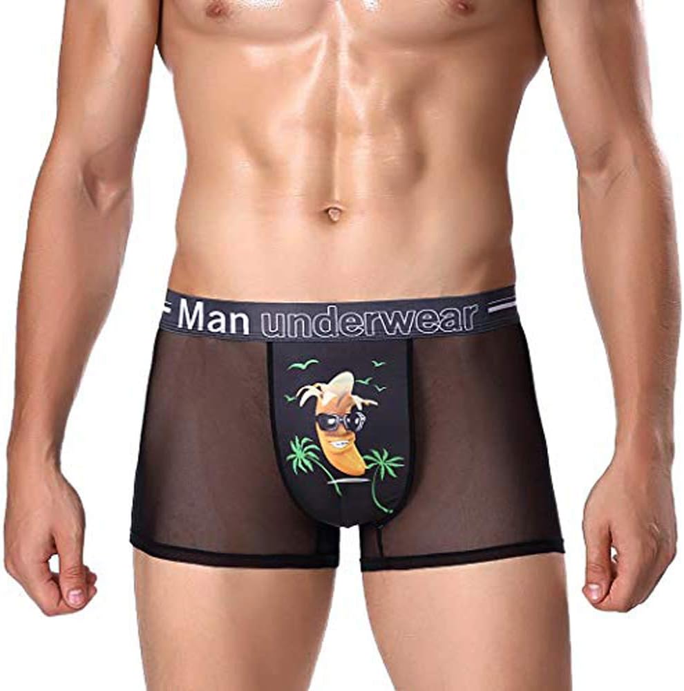 FEDPOP Men's Underwear Mesh Breathable Trunk Low Rise Cool Boxers