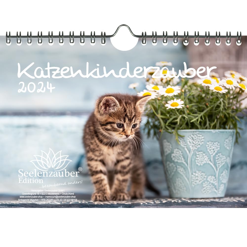 Katzenkinderzauber DIN A5 Wall Calendar for 2024 Cats Children Cats Seelenzauber