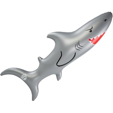 Nouilles De Piscine Incurvées Gonflables – 60x75 Cm – PVC Résistant – Pour Enfants Et Adultes – Piscine, Lac, Plage – Détente