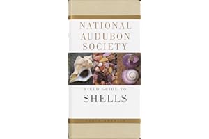 National Audubon Society Field Guide to Shells: North America