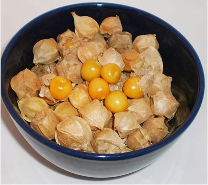 PREMIER SEEDS DIRECT TOMATILLO Pineapple PHYSALIS IXOCARPA 125
