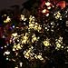 Qedertek Chritmas Solar String Lights, 21 ft 50 LED 8 Modes Lights, Fairy Garden Blossom Lights String, Decorations for Indoor Outdoor Home Garden Patio Wedding Party Holiday Christmas String Lights