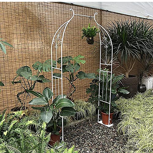 SSHHM Gartenbogen Metall Schmiedeeisen Gartendekoration,Rosenbogen FüR Den Anbau Jeder Art von Kletterpflanzen/Weiß… – Bild 3