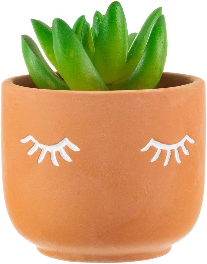 Sass & Belle Mini Eyes Shut Terracotta Planter, Brown - Image 3