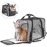 Download Best Cat Backpack Uk Background