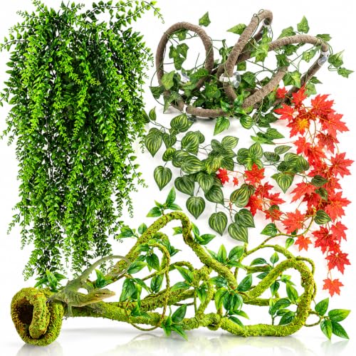 Grddaef Reptile Vine Plant Kit