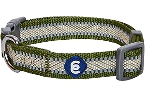 Blueberry Pet Essentials Matching Small Dog Collar | Adjustable Classic Solid Color Nylon Dog Collars for Small Dogs | Reflective Dark Olive Dog Collar for Small Dogs