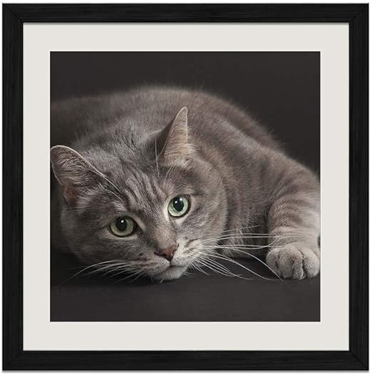 Amazon Com Kaohun Gray Cat Green Eyes Black Wood Frame Prints