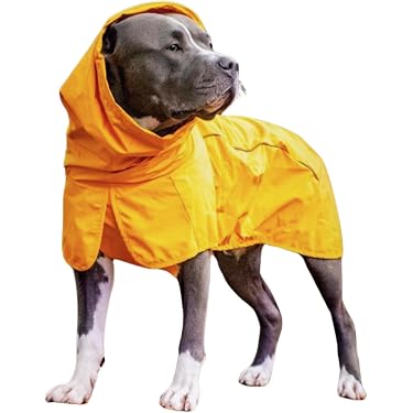 Amazon Best Sellers: Best Dog Raincoats