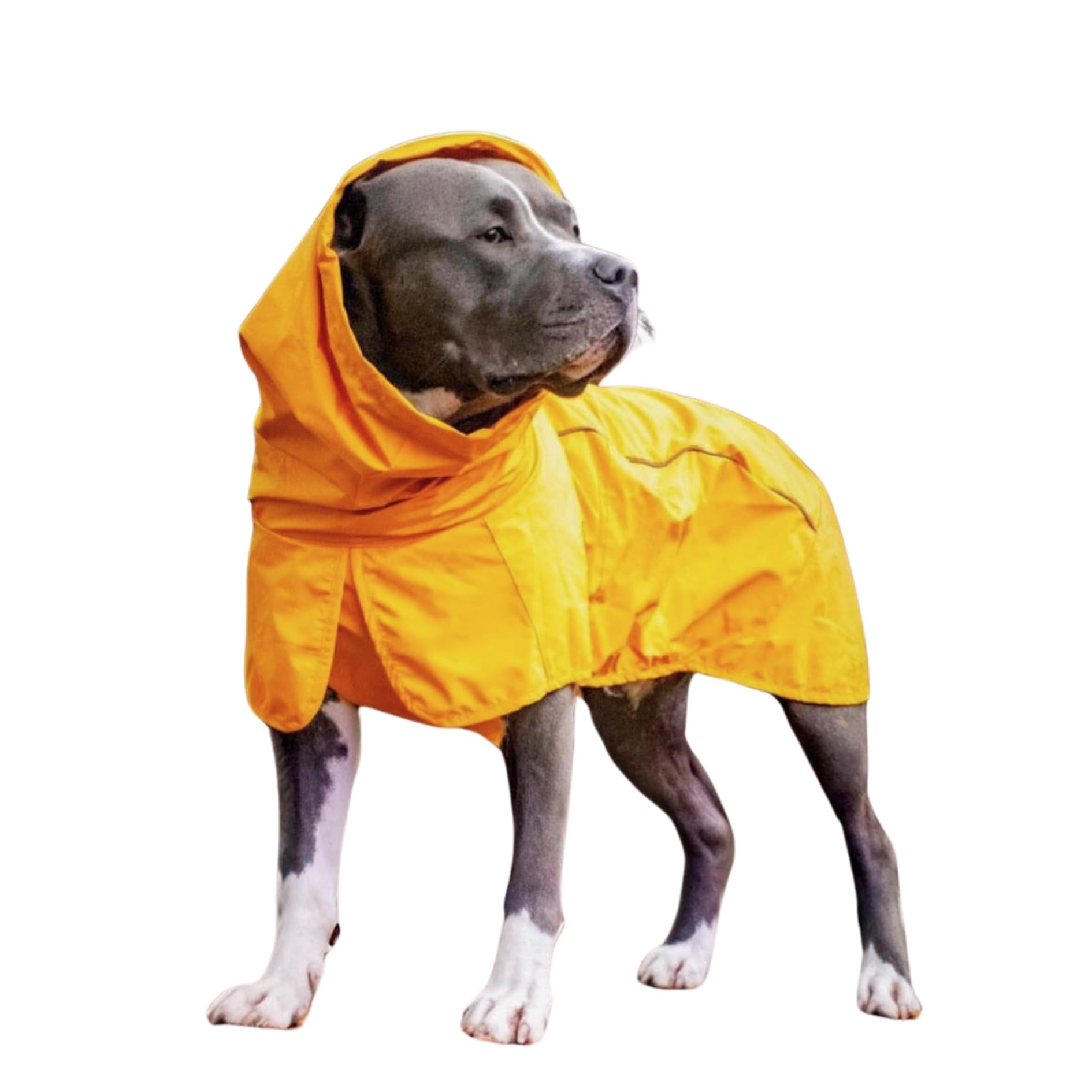 Spark Paws Dog Raincoat, Waterproof Coat Rain Jacket for Small Medium Large Dogs, Reflective Breathable Full-Body Coverage - Mustard Yellow - 3XL — image 1