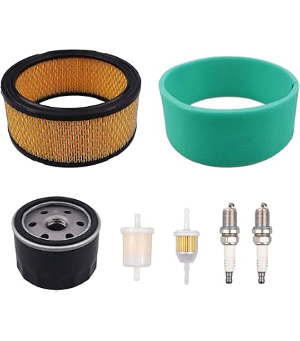Amazon.com: Miller 259935 Tune-Up & Filter Kit, Kubota (D722/D902