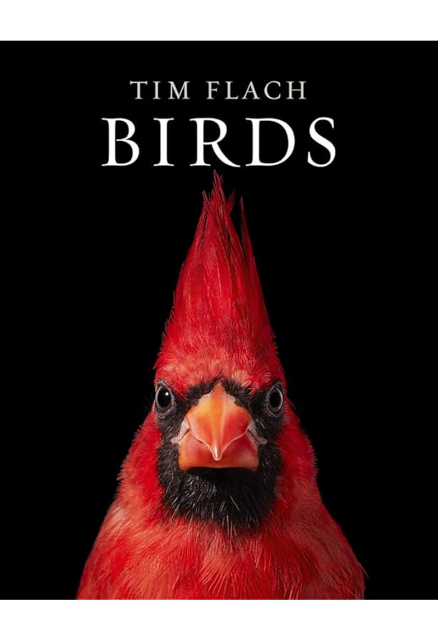 Amazon.com: Bird: 9780811870986: Zuckerman, Andrew: Books