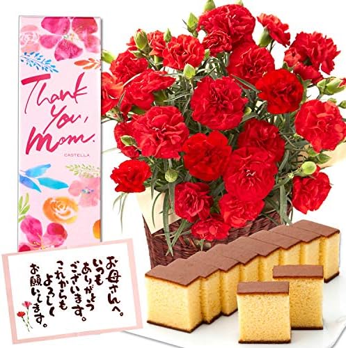 長崎心泉堂 母の日のプレゼント 花とお菓子 カーネーション 鉢植え スイーツ ギフト セット 4号 レッド 長崎カステラ Md12