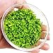 Micranthemum Monte Carlo New Large Pearl Grass Live Aquatic Plant in Tissue Culture Cup for Aquarium Freshwater Fish Tank by Greenpro