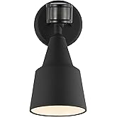 Generation Lighting 1-Light Traditional Outdoor Wall Flood Light Black 8560701PM-12, Outdoor Lights Make Charming Wall Lamps 
