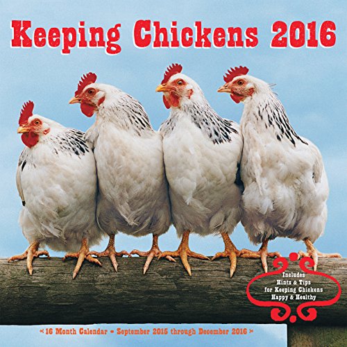 Keeping Chickens 2016 Mini: 16-Month Calendar September 2015 through December 2016 by Editors of Rock Point