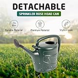 Accurate Watering Can 10L with Spray Rose Garden Watering Tool view 6