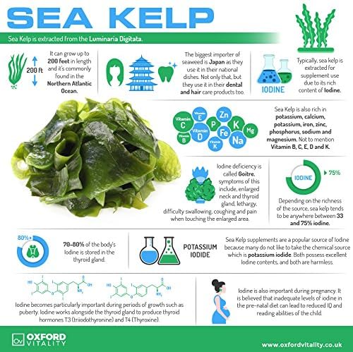 Sea Kelp Tablets, 120 count (Pack of 1) - Image 5