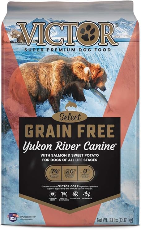 can hamsters eat dry dog food