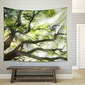 Big Tree with Sun Light - Fabric Wall Tapestry Home Decor - 51x60 inches