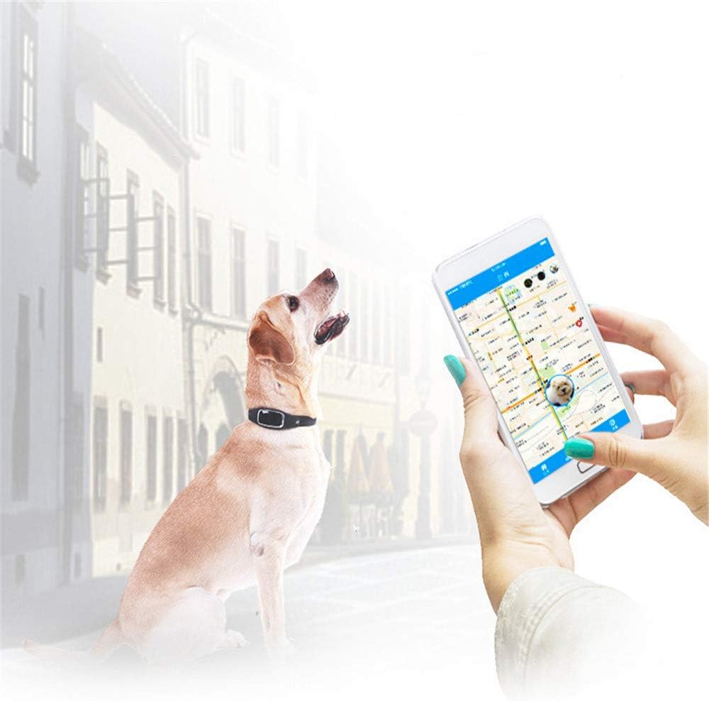 pet fitness tracker