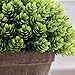 Supla Big 8.5 x 11 inch Artificial Topiary Plant Top Plant in Planter Plastic Potted Plant with Pot Plants in Weathered Pot Artificial Topiary Tree Ball Plants