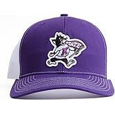 Collegiate Two Toned Premium Adjustable Snapback Trucker Hat Baseball Cap