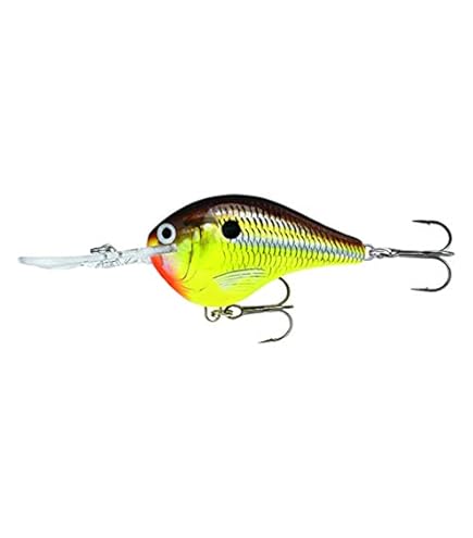 Amazon.com : Rapala Dives-to 3/4 Oz Fishing lure (Parrot