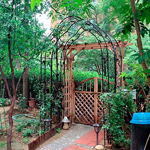 QHW Rosenbogen, Pergola-Kletterpflanzenbogenhalterung, Gartenbogengitter-Kletterhilfe, Hochzeitsdekoration, schwarz…