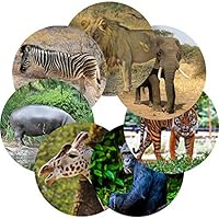 Safari Animals Reward Sticker Labels, 70 Stickers @ 1" inch, Glossy Photo Quality, Ideal for Children Parents Teachers Schools Doctors Nurses Opticians