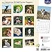 American Pit Bull Terrier Puppies 2017 Calendar