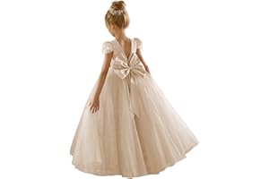JISISANG Flower Girls Lace Cap Sleeve Dress for Wedding Puffy Tulle Back V-Neck Pageant Prom Ball Gown with Bow