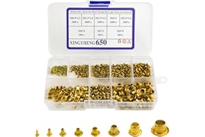 XINGYHENG 650Pcs 8 Values M0.9(d)-M5(L) Mixed Zinc Plated Through Hole Copper Rivets Assortment kit(Whole Hollow Grommets Rivets Set with A Plastic Storage Kit)