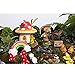 Tonsiki 33 Pieces Miniature Garden Accessories Fairy Garden Ornament Kit for DIY Dollhouse,Succulent,Plant Decoration