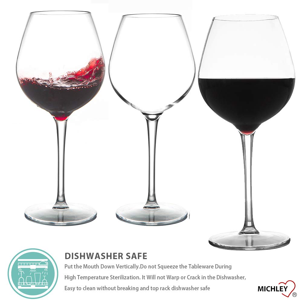 MICHLEY Unbreakable Stemmed Wine Glass 100 Tritan Plastic Dishwasher
