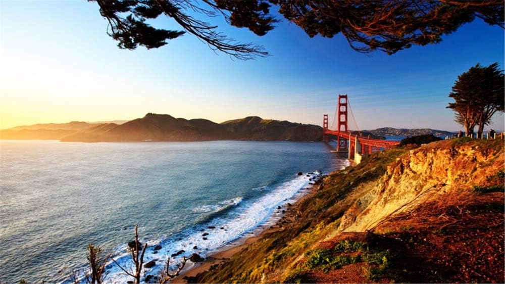 Malen Nach Zahlen San Francisco Bridge View Fluss DIY
