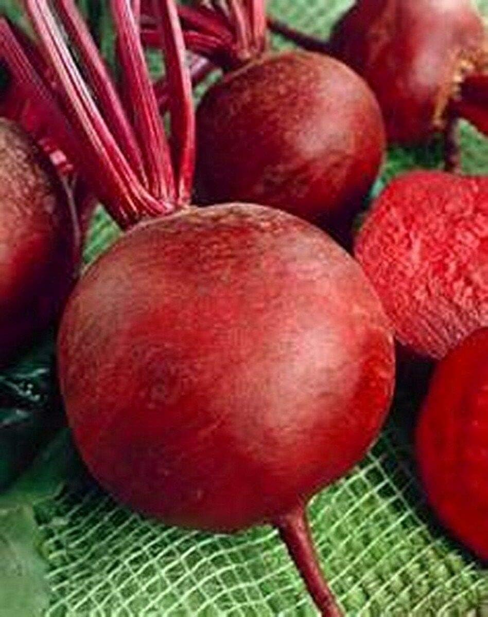 100 Seeds Detroit Red Beets PLT Garden & Outdoor